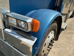 General Appearance with Paint