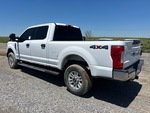 Picture, Left Rear Corner