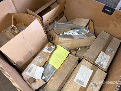 Lot of (300) Dog, Shipwright