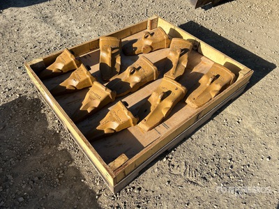 Quantity of (10) Teeth (Unused)