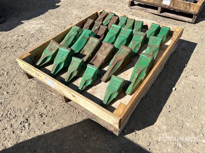 Quantity of (26) Teeth (Unused)