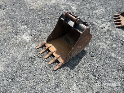 Cat 21 in Digging Excavator Bucket