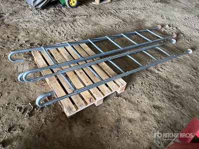 Quantity of (2) Ladder