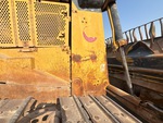 General Appearance with Pintura