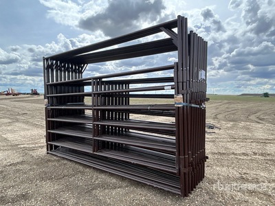 Quantity of (20) 2026 BYT RG5012 12 ft x 8 ft Portail pour bétail (Unused)