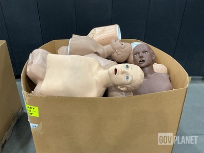 (36) Assorted Medical Training Manikins