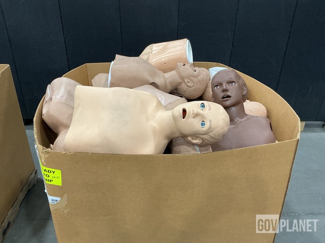 (36) Assorted Medical Training Manikins