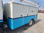 General Appearance with Paint