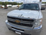 General Appearance with Paint