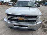 General Appearance with Paint