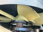 Engine with Radiator
