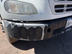 General Appearance with Paint