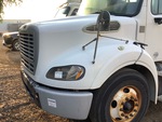 General Appearance with Paint