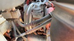 Engine with Exhaust System