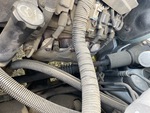 Motore with Exhaust System