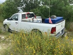 Picture, Left Rear Corner