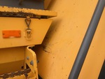 General Appearance with Paint