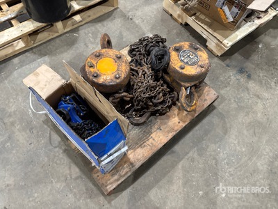 Quantity of Chain Hoist