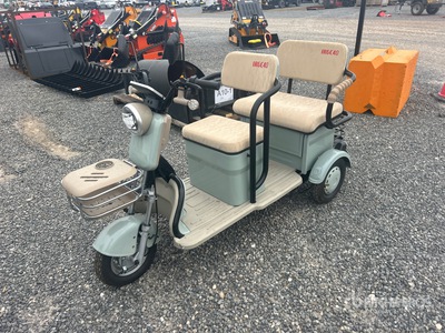 IRGC40 Electric Trike