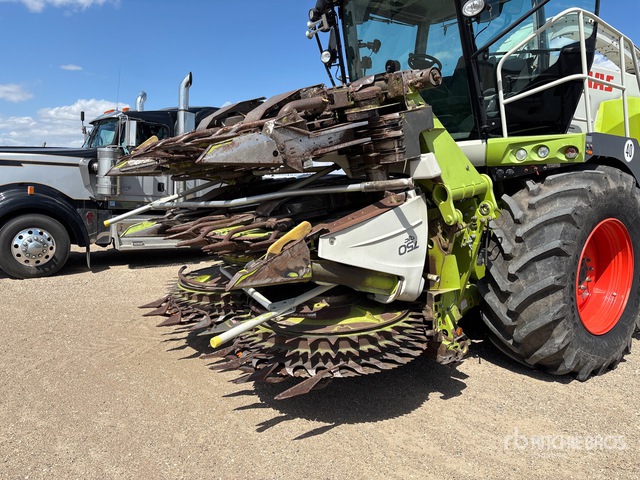 2013 Claas Orbis 750 10 Row 24 ft Corn Forage Harvester Header