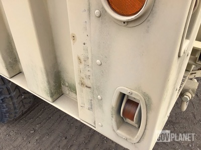 General Appearance with Paint