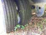 Trailer Chassis with Tire Condition
