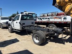 Picture, Left Rear Corner