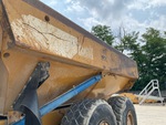 General Appearance with Pintura