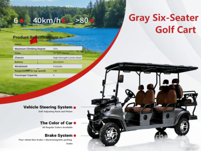 2026 Electric Gray Six-Seater Golf Cart (Unused)
