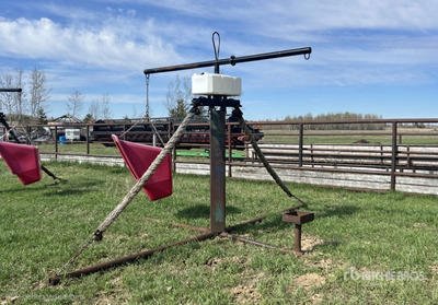16 ft x 10 ft Cattle Oiler