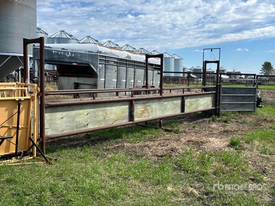Livestock Calf Alley Attrezzatura per bestiame