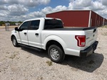 Picture, Left Rear Corner