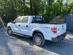 Picture, Left Rear Corner