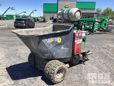 2018 Allen AR-16PBEP 4x2 Propane Concrete Buggy