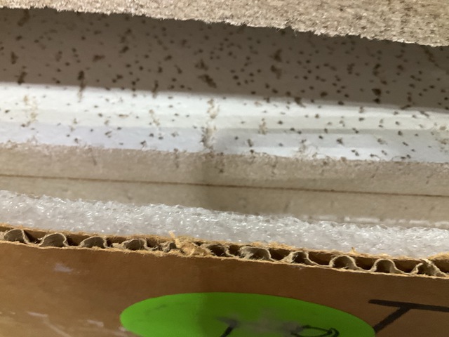 (20) Boxes of Armstrong 755BN Fissured Square Lay-In Ceiling Tiles