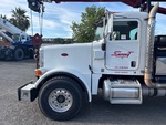 General Appearance with Paint