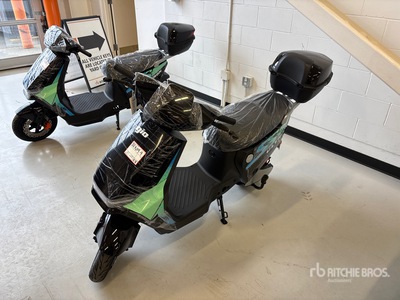 Electric Scooter (Unused)