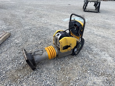 2024 Bomag BT65 trilstamper