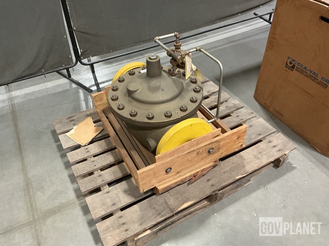 Griswold 18082-01G Pressure & Temperature Relief Valve