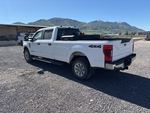 Picture, Left Rear Corner
