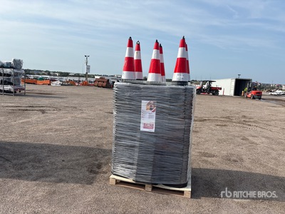 2026 TSC Quantity of (250) Traffic Cones (Unused)