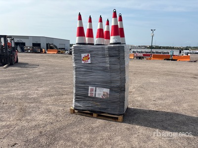 2026 TSC Quantity of (250) Traffic Cones (Unused)