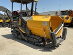 General Appearance with Paint