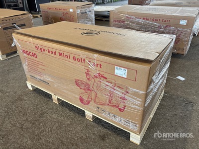 2026 IRGC40 Electric Mini Golf Cart (Unused)