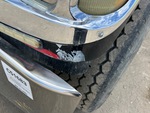 General Appearance with Paint