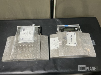 (2) Intercomp MH300A Scales