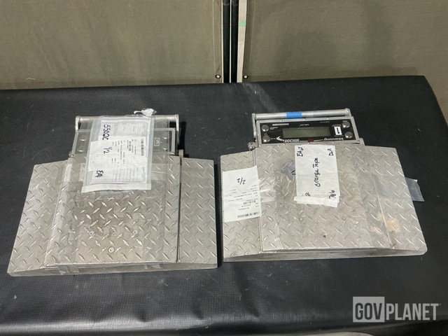 (2) Intercomp MH300A Scales
