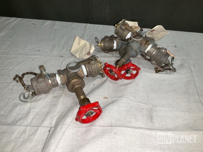 (31) Gate Valves