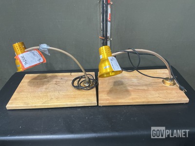 (2) Carlisle Foodservice NHL8185GB21 Heat Lamps
