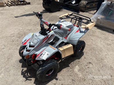 Tao Motor Boulder B110 CC 4x2 VTT